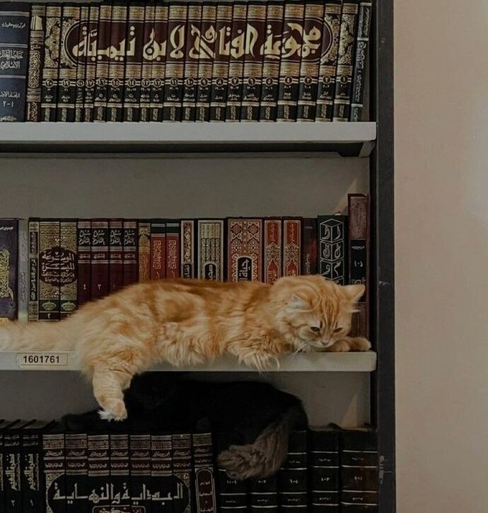 Kişiliğinizde hayvan sevgisi var mı?