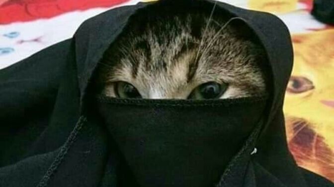 Kişiliğinizde hayvan sevgisi var mı?