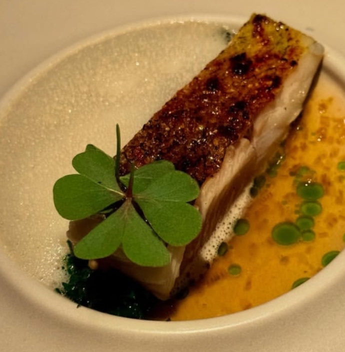 Fine dining tabak sunumlarım nasıl olmuş, şeflere ve gurmelere soruyorum 😋?