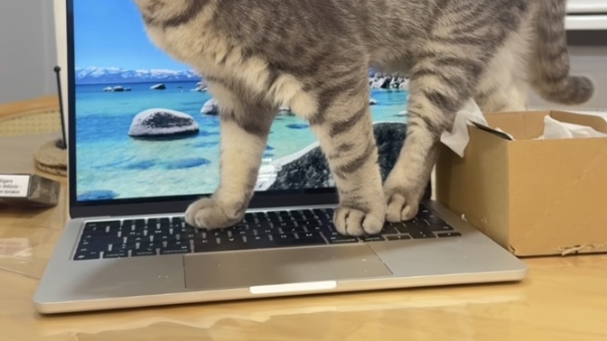 Sevdiğinizi gıcık edip sinirleriyle oynamayı seven var mı 😜?