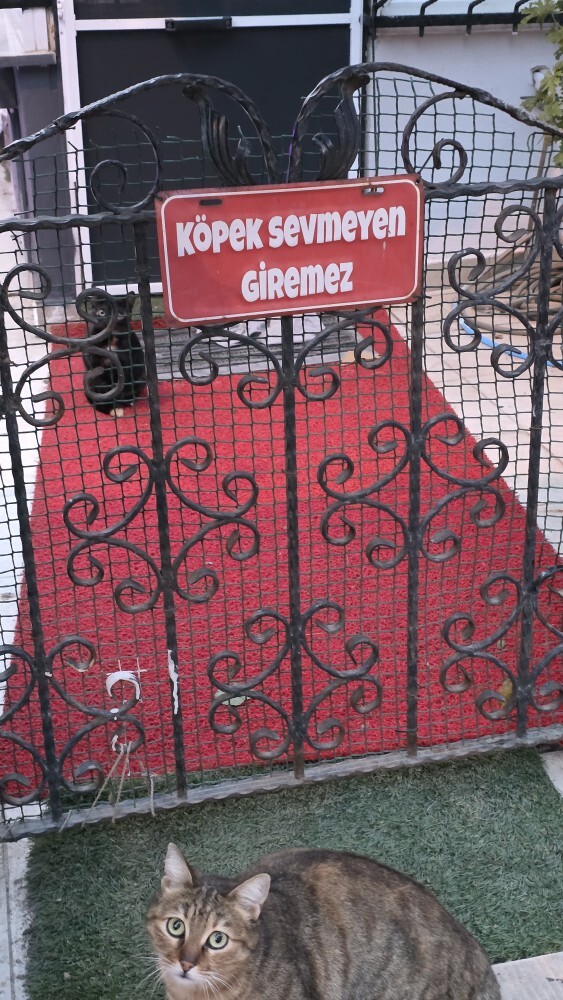 Evinizin girişine bir yazı yazacak olsanız ne yazardınız?