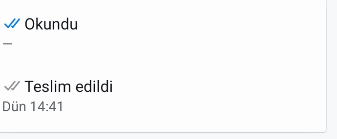 WhatsApp mesajda teslim edildi saatli, okundu saatsiz görünmesi ne anlama geliyor?