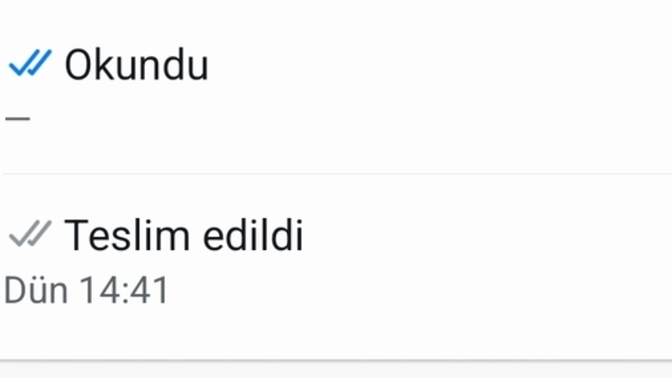 WhatsApp mesajda teslim edildi saatli, okundu saatsiz görünmesi ne anlama geliyor?