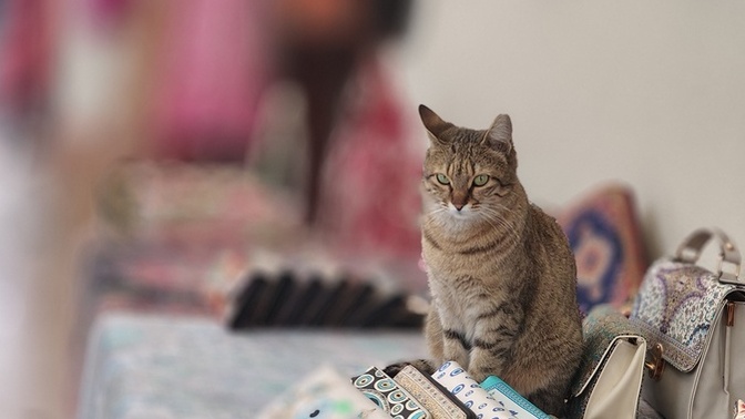 Fotoğrafçılığı bırakıp aşçı yardımcısı olmama haksız mıyım sizce 😅?