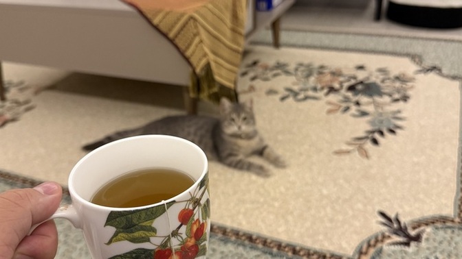 Gece olunca neden uykum bir türlü gelmiyor?