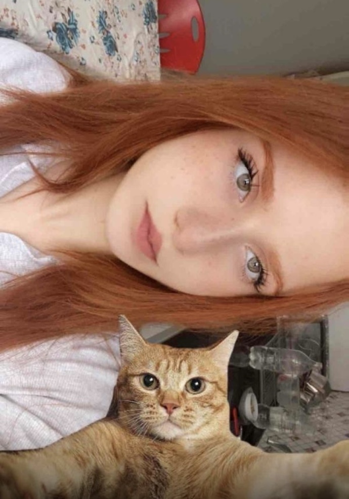 Kediler aslında o kadar tatlı değil mi sizce, abartılıyor mu 😺?
