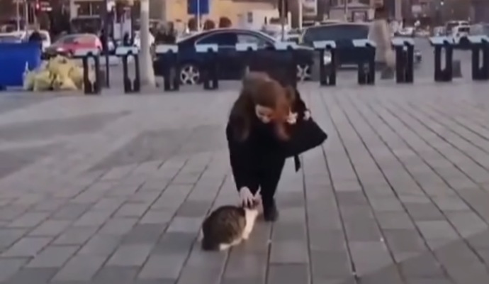 Hiç kedi seveceğim diye bir yere geç kaldığınız oldu mu 🐱?