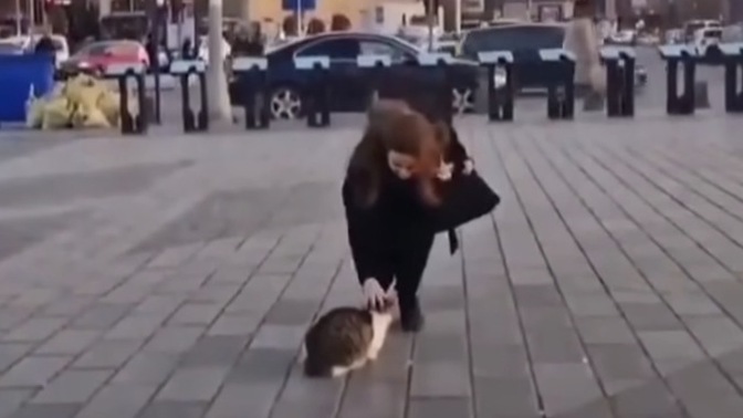 Hiç kedi seveceğim diye bir yere geç kaldığınız oldu mu 🐱?