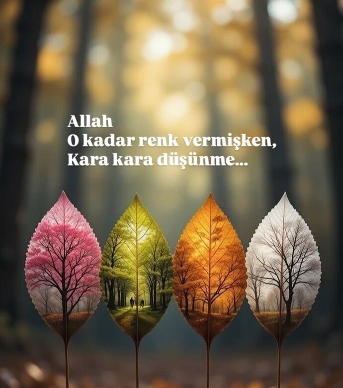 Düşünceli birimisindir?