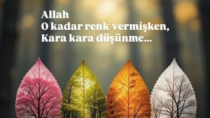 Düşünceli birimisindir?