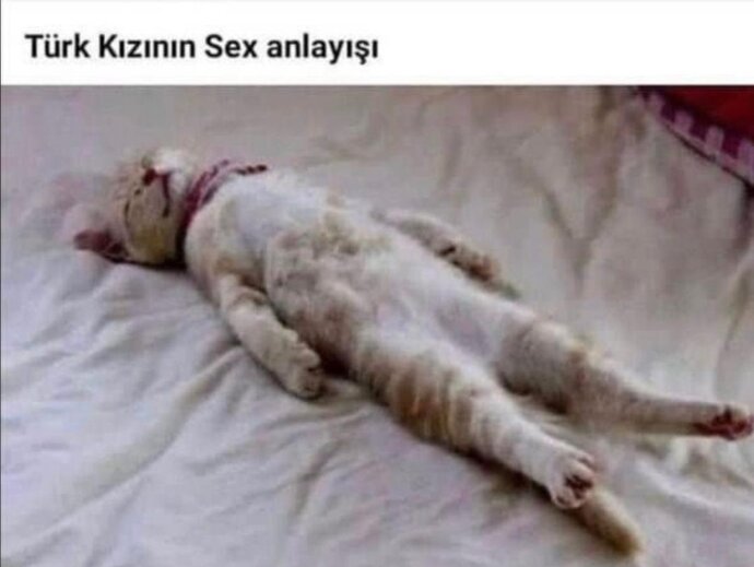 Sekste nasıl durmam gerek erkeğin yanında?