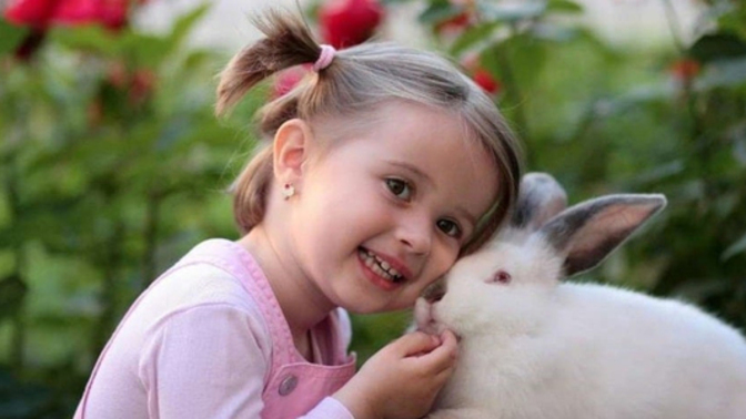 Alırım bir hayırlı olsun; Fenomen olarak ilk sorum: Tavşan beslesen ona ne isim verirdin?