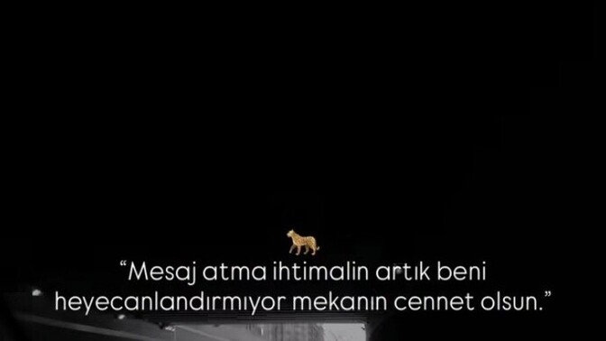 Sevdiğinizden mesaj gelince heyecan oluyor mu?