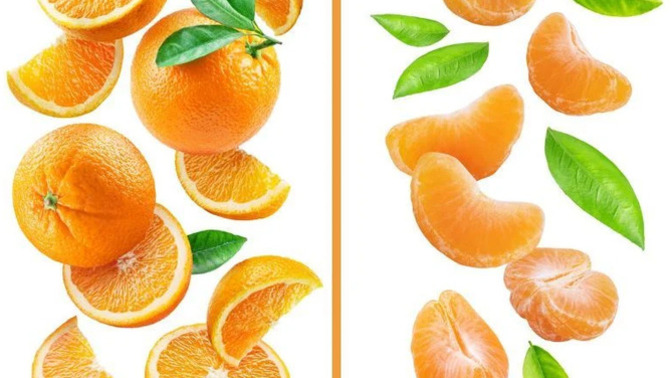 Mandalina mı portakal mı daha lezzetli ve sağlıklı, siz hangicisiniz 🍊🍊?