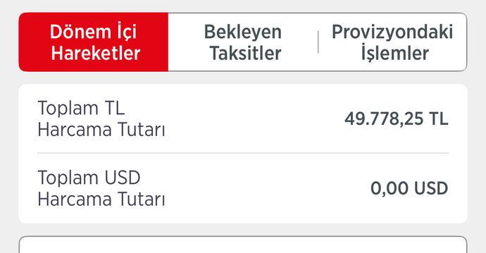 Bugün maaş yattı ama bu ay da paramın tamamı borca gitti, şimdi bu ay neyle geçinicem?