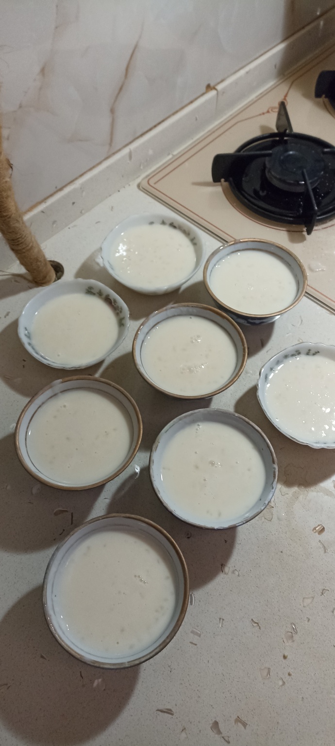 İlk kez sütlaç yaptım, nasıl olmuş sizce lezzetli görünüyor mu 😋?