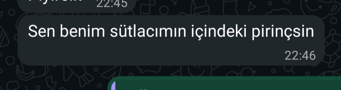 Bir tek benimki mi bu kadar odun?