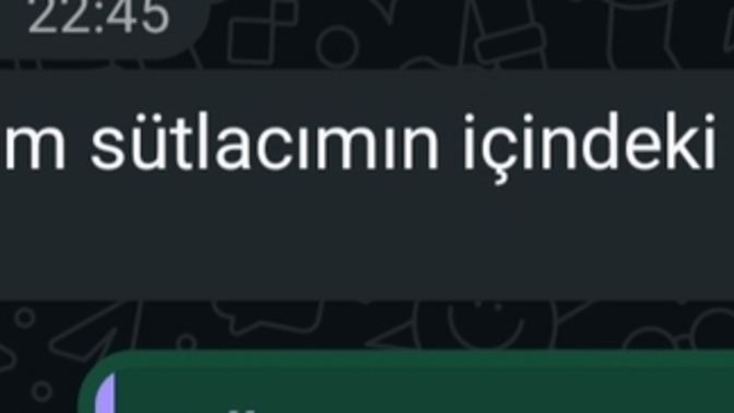 Bir tek benimki mi bu kadar odun?