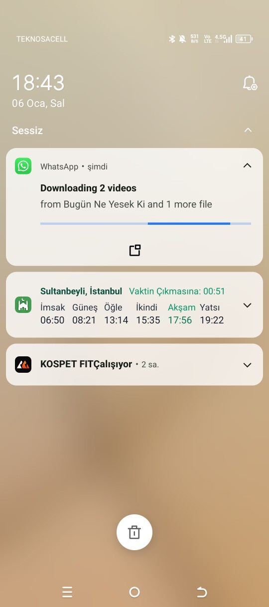 Rica etsem bakar mısınız?