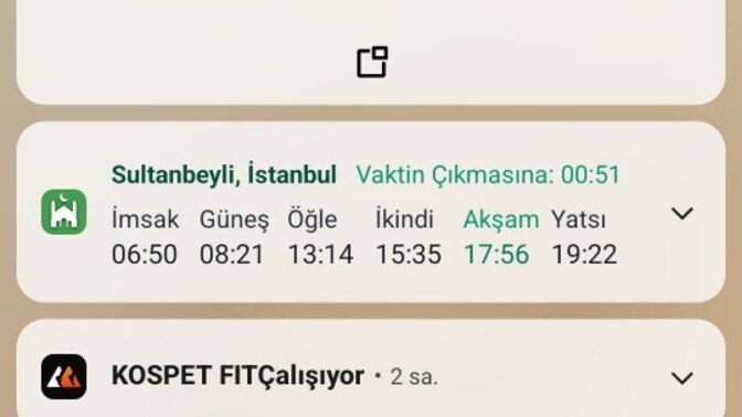 Rica etsem bakar mısınız?