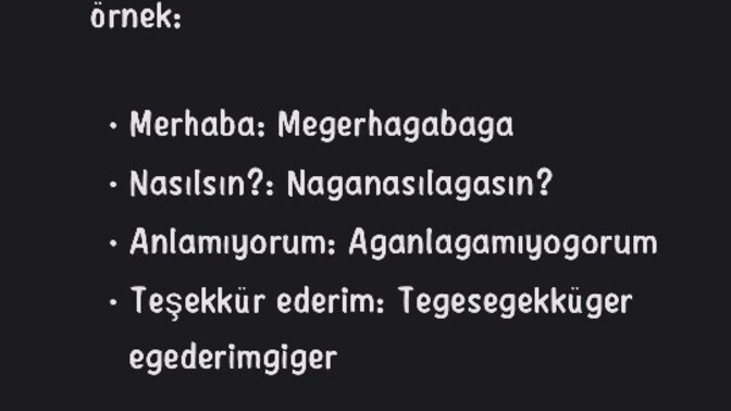 Kuş dili anlayıp ya da  konuşabilir misiniz?