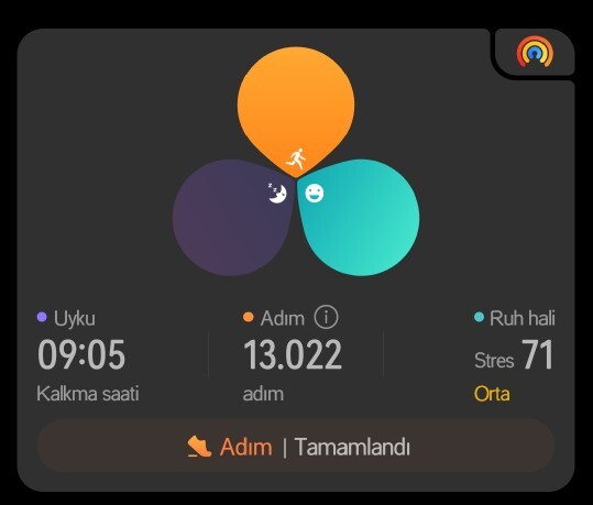 Günde ortalama kaç adım atarsın?