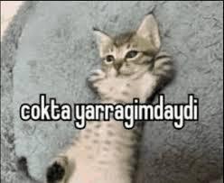ABD'nin peşisıra zaferleri ( suriye- Venezuela) sizce İran'da da rejimin devrilmesi ile devam edermi?
