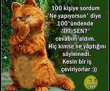 Şu anda ne yapıyorsunuz, uyuyor musunuz yoksa hâlâ uyanık mısınız 😊?