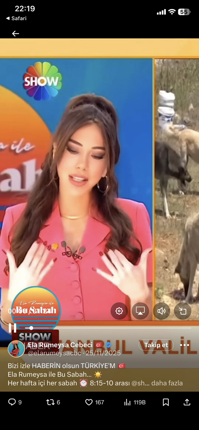 Ela rümeysa cebeci yi seviyor musunuz?