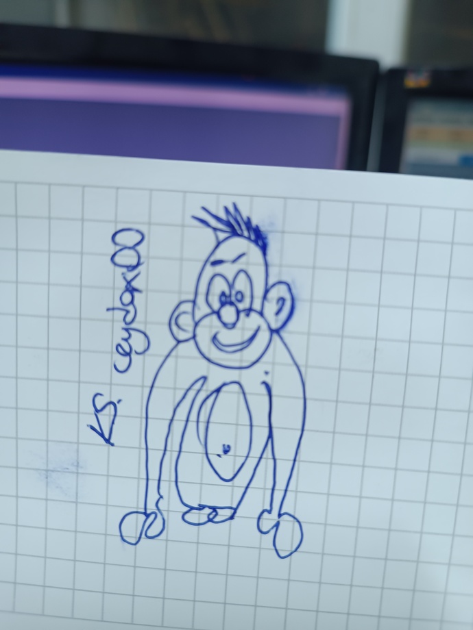 Çizer misin Yazar mı?