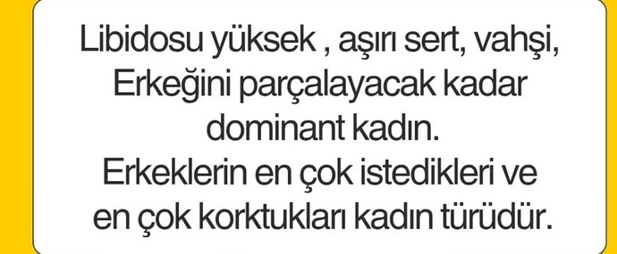 Erkeklerin en çok istedikleri ve en çok korktukları kadın türü hangisidir?