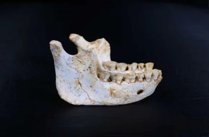 773 bin yıl öncesine ait insan fosilleri bulundu konu hakkında ne düşünüyorsunuz?