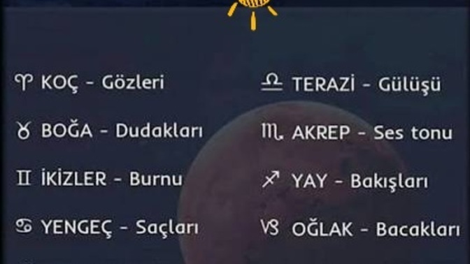 Burcuna göre vücudundaki en çekici yer neresi, sen en çok nereyi öne çıkarıyorsun?