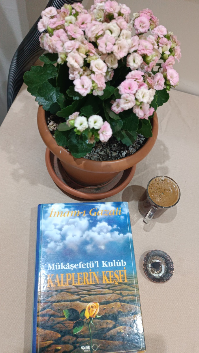 Dili ağır, derin anlamlı İmam-ı Gazali tarzı kitapları okumayı sever misiniz 📚?