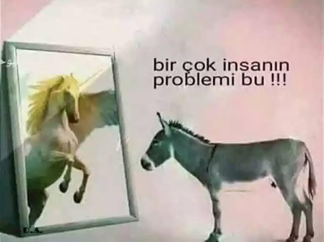 Siz de kendini bi halt sanan, egosu şişik insanlara sık denk geliyor musunuz?