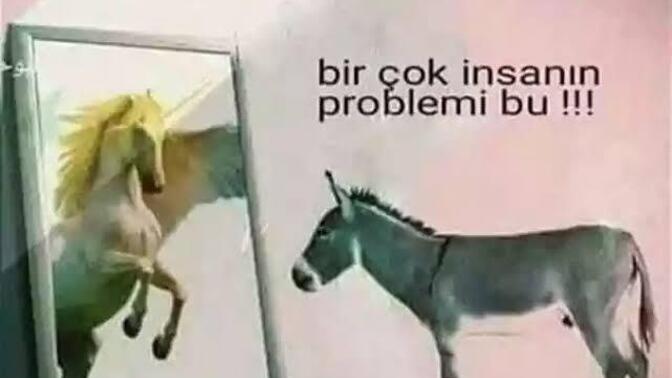 Siz de kendini bi halt sanan, egosu şişik insanlara sık denk geliyor musunuz?