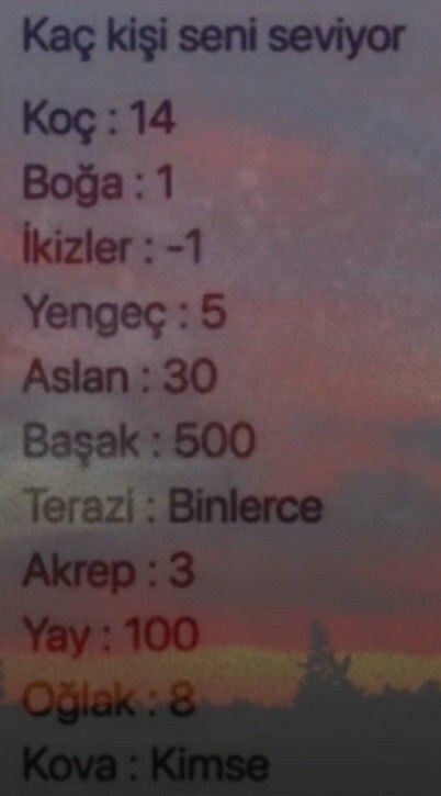 Sizi kaç kişi seviyor?