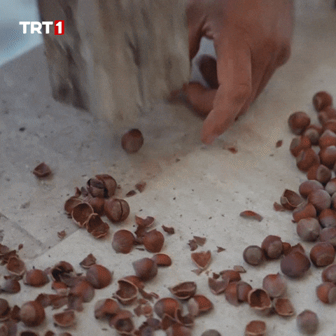 Sana hangisinden ikram ederdim söyleyeyim mi?