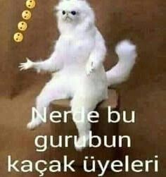 SİZ SÖYLEYİN BEN YAPAYIM Bana tarif öner yapayım?