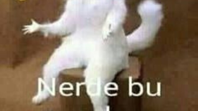 SİZ SÖYLEYİN BEN YAPAYIM Bana tarif öner yapayım?