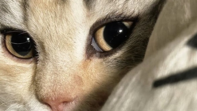 Fotoğrafta mı daha iyisiniz aynada mı?