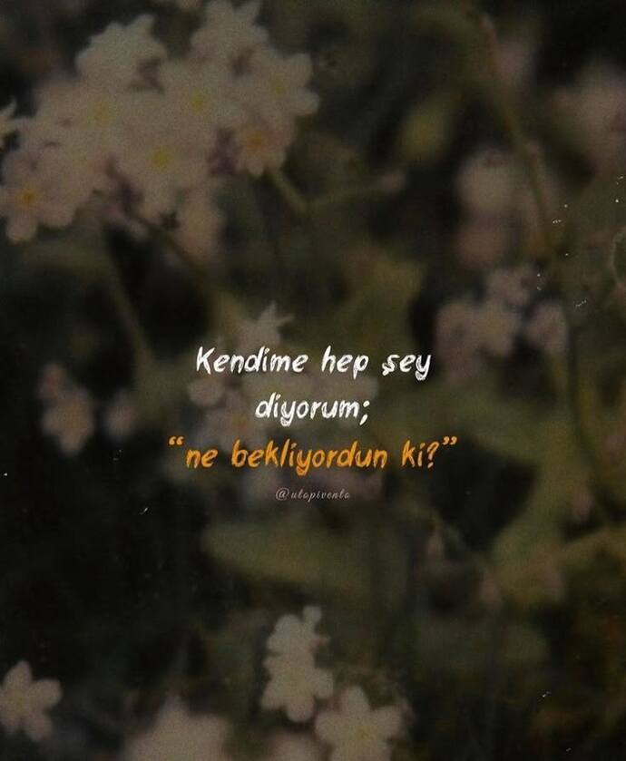 Beklentileriniz size istediğiniz karşılığı verdi mi?