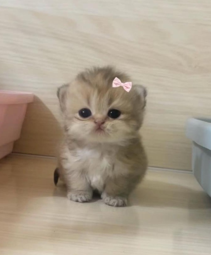 Bunun ismi yediğin son şey olsa ne olurdu?