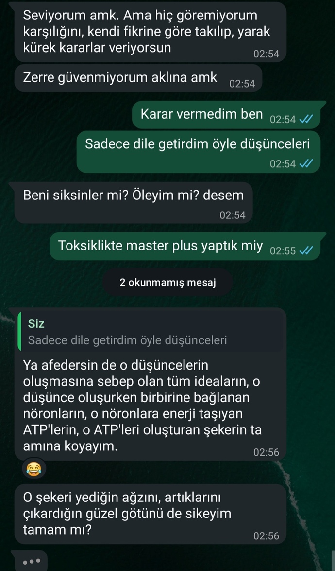 Hiç şahsınıza edilen küfür sanat gibi geldi mi, güzel etmişler mi küfür bana ben beğendim?