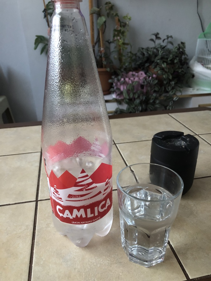En sevdiğiniz soğuk içecek ne?
