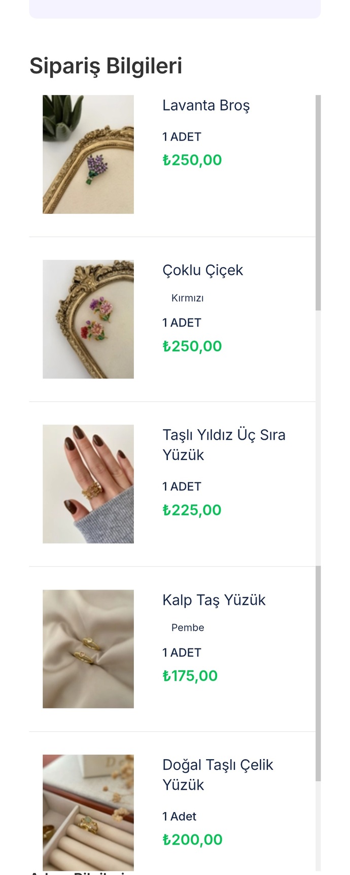 Altın dışında takı almak sizce fuzuli harcama mı, yoksa keyifli bir alışveriş mi?