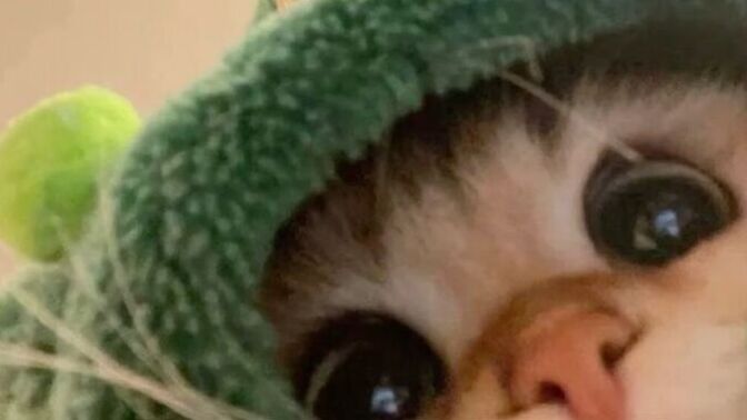 Size arkadaşım @NikkiBoy ile ne hediye alırdık söylim mi?