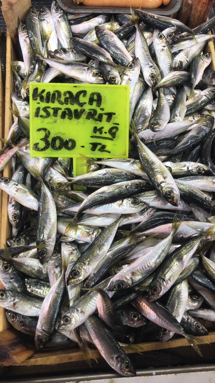 Ne sıklıkla yersin?