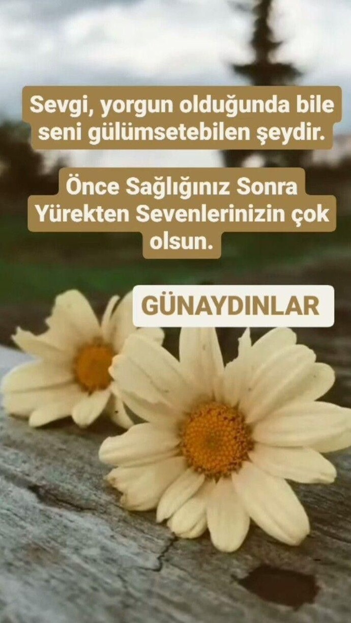 Güüü naaaay dıııınnnn... 😍😍 Kimler uyandı acaba 🤔?