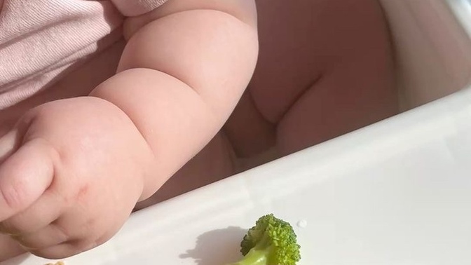BLW’ye kaçıncı ayda başlanmalı?